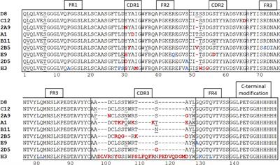 MICA-specific nanobodies for diagnosis and immunotherapy of MICA+ tumors